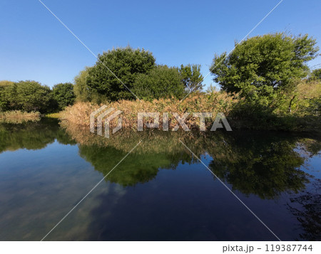 金山緑地公園 金山緑地公園 119387744