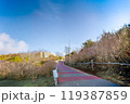 大空に続く道(横) 119387859