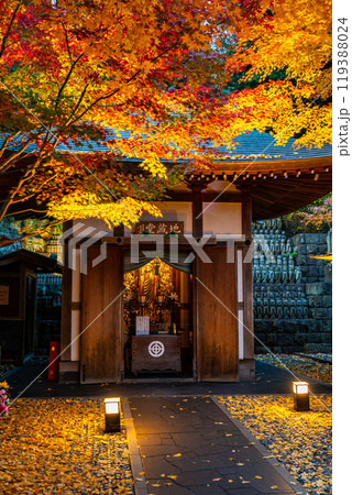 【神奈川県】ライトアップされた長谷寺の地蔵堂と紅葉 119388024