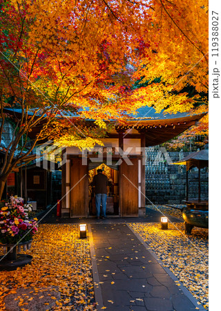 【神奈川県】ライトアップされた長谷寺の地蔵堂と紅葉 119388027