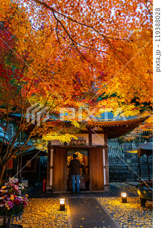 【神奈川県】ライトアップされた長谷寺の地蔵堂と紅葉 119388028