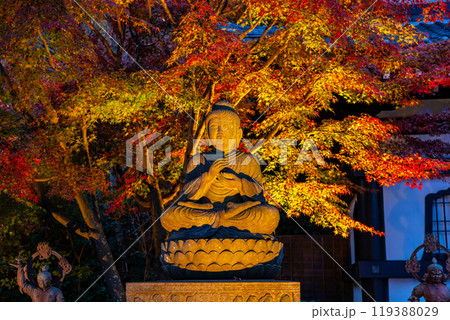 【神奈川県】ライトアップされた長谷寺の釈迦如来像と紅葉 【神奈川県】ライトアップされた長谷寺の釈迦如来像と紅葉 119388029