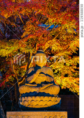【神奈川県】ライトアップされた長谷寺の釈迦如来像と紅葉 【神奈川県】ライトアップされた長谷寺の釈迦如来像と紅葉 119388030