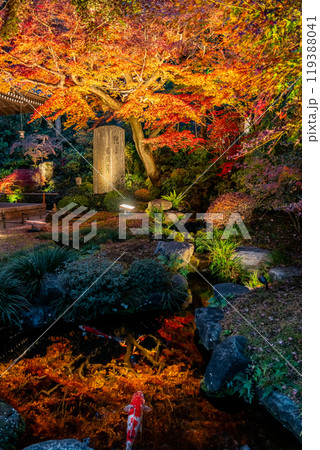 【神奈川県】長谷寺の燃えるような紅葉ライトアップ 【神奈川県】長谷寺の燃えるような紅葉ライトアップ 119388041