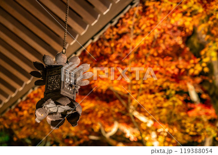 【神奈川県】長谷寺の燃えるような紅葉ライトアップ 119388054