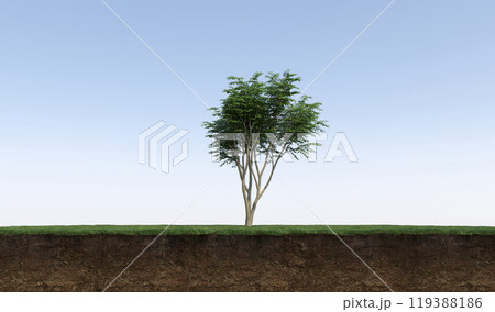 tree on the grass and a slice of soil under it, 3d render 119388186