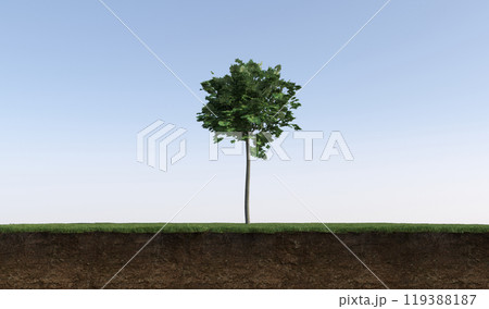 tree on the grass and a slice of soil under it, 3d render tree on the grass and a slice of soil under it, 3d render 119388187