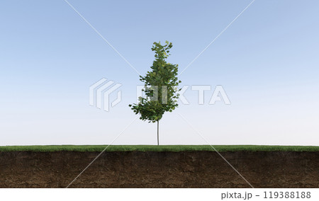tree on the grass and a slice of soil under it, 3d render tree on the grass and a slice of soil under it, 3d render 119388188