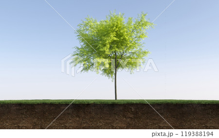 tree on the grass and a slice of soil under it, 3d render 119388194
