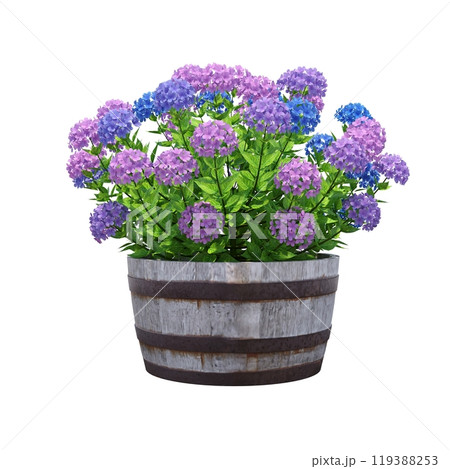 decorative flower in a pot isolated on white background, 3D illustration, cg render decorative flower in a pot isolated on white background, 3D illustration, cg render 119388253