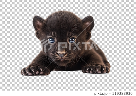 Black panther cub on transparent background. AI-generated item. 119388930