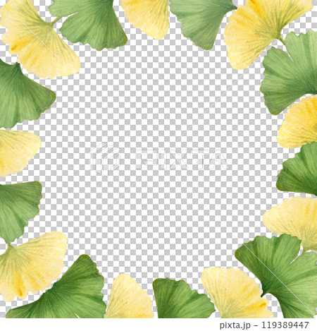 Ginkgo biloba, maidenhair tree vibrant green and yellow leaves frame. High quality hand-painted detailed textured watercolor frame perfect for cards, botanical designs, supplement packages decor 119389447