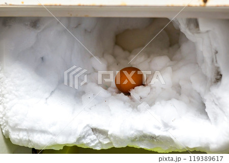 The freezer compartment of the refrigerator is covered with pieces of ice in which a chicken egg lies 119389617