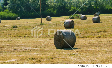 Round hay bales drying on meadow on sunny day Round hay bales drying on meadow on sunny day 119390878