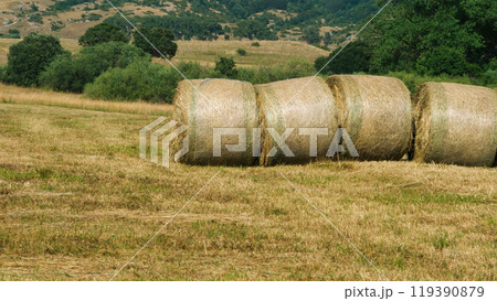 Round hay bales lying on field with mountains in background 119390879