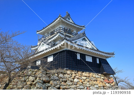 【静岡県】快晴の浜松城 119390938