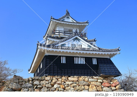 【静岡県】快晴の浜松城 【静岡県】快晴の浜松城 119390949
