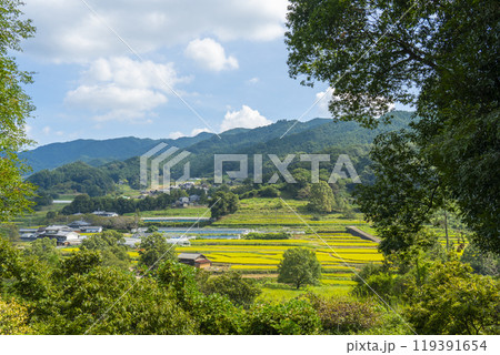 稲渕の棚田　秋（奈良県明日香村） 119391654