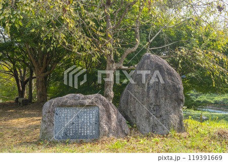 朝風峠　案山子（かかし）ロード（奈良県明日香村） 119391669