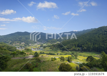 稲渕の棚田　秋（奈良県明日香村） 119391674
