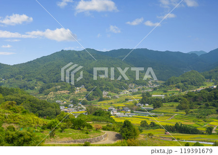 稲渕の棚田　秋（奈良県明日香村） 119391679