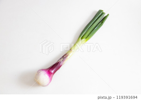 イタリア野菜　トロペア 119391694