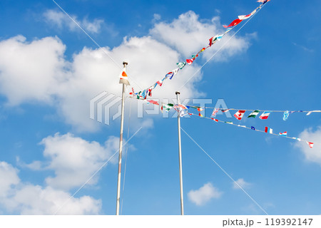 青空を背にした各国の国旗と日の丸【秋の運動会イメージ】 119392147