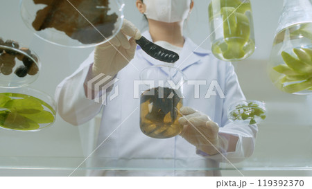 A female scientist holding a black locust, prepare to put into glass beaker on glass experiment table. The promotional photo for natural shampoo products, empty space for design A female scientist holding a black locust, prepare to put into glass beaker on glass experiment table. The promotional photo for natural shampoo products, empty space for design 119392370