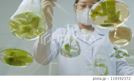 A female scientist standing by a glass experiment table featuring several lab glassware contain grapefruit peel and others natural ingredient, drip liquid from pipette into erlenmeyer A female scientist standing by a glass experiment table featuring several lab glassware contain grapefruit peel and others natural ingredient, drip liquid from pipette into erlenmeyer 119392372