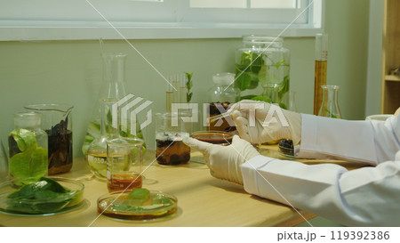Shampoo science investigation with many natural ingredient, the scientist sit by wooden table by window, observing and analyzing brown essence in glass petri dish 119392386
