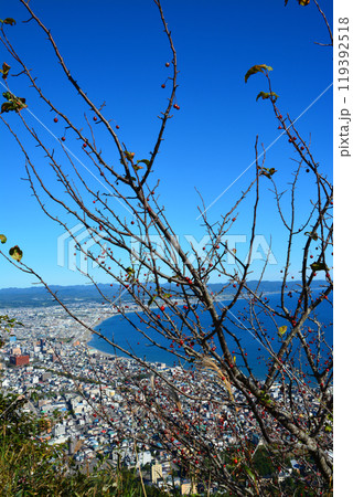快晴の素晴らしき函館山からの眺望 快晴の素晴らしき函館山からの眺望 119392518