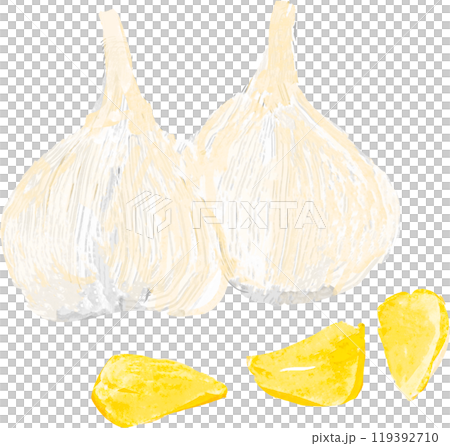 ニンニクのイラスト 119392710