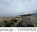島の海辺 119392928