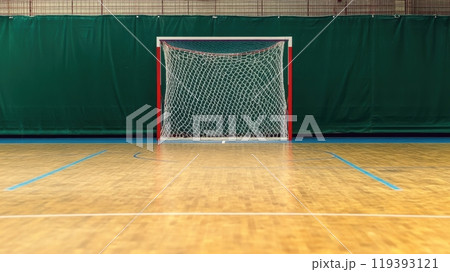 Empty indoor handball court, with goal positioned against green backdrop. 119393121