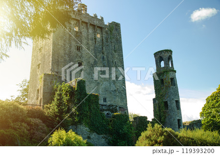Ivy-Covered Medieval Castle and Tower in Cobh Ireland on a Sunny Day Ivy-Covered Medieval Castle and Tower in Cobh Ireland on a Sunny Day 119393200
