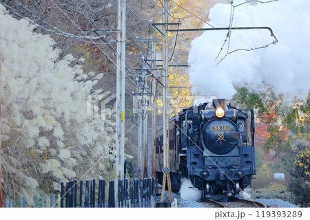 秋の秩父鉄道　すすきの中を走る白煙の蒸気機関車C58363 パレオエクスプレス 119393289
