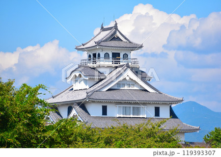 長浜城 長浜城 119393307