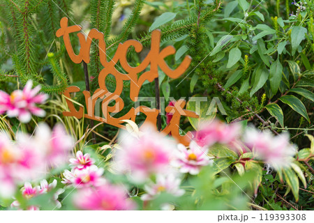 ハロウィン・イベント イメージ 119393308