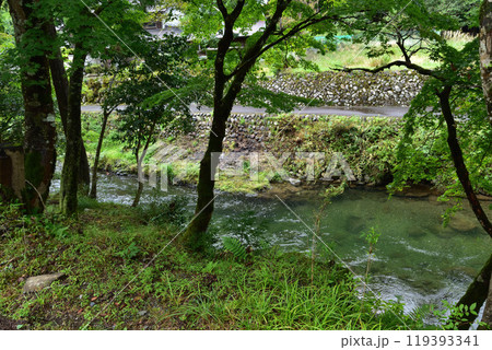 京都左京・久多の里・川合の別れ付近の渓流 京都左京・久多の里・川合の別れ付近の渓流 119393341