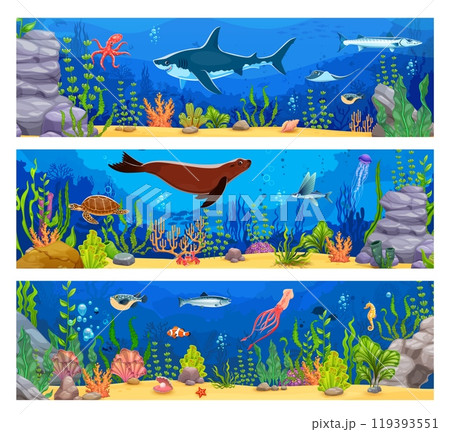 Underwater sea landscape banners with ocean animals. Cartoon undersea world environment with marine creatures. Vector cards with shark, turtle, seal, fish shoal, tropical corals and seaweed plants Underwater sea landscape banners with ocean animals. Cartoon undersea world environment with marine creatures. Vector cards with shark, turtle, seal, fish shoal, tropical corals and seaweed plants 119393551