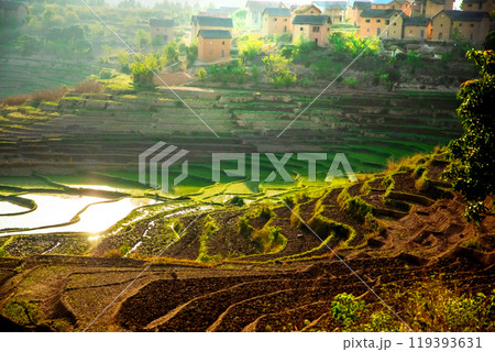 Rice terrasses fields of Madagascar 119393631