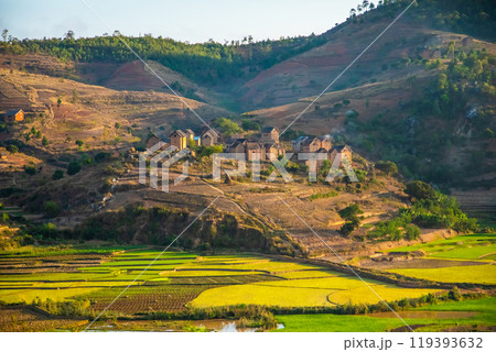 Rice terrasses fields of Madagascar 119393632