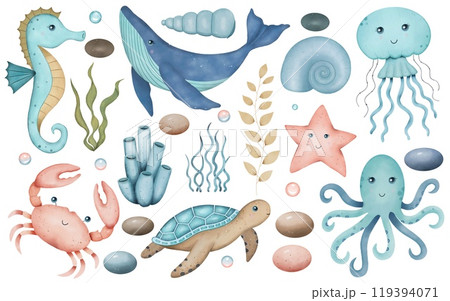 Set with sea animals, algae, corals, shells, pebbles. Underwater world. Hand drawn watercolor illustration Set with sea animals, algae, corals, shells, pebbles. Underwater world. Hand drawn watercolor illustration 119394071