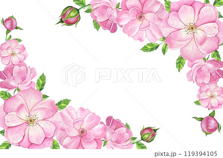 Frame with pink tea rose. Hand drawn watercolor illustration Frame with pink tea rose. Hand drawn watercolor illustration 119394105