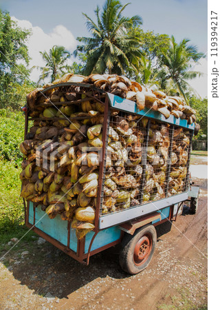 coconut coir rope making with traditional process coconut coir rope making with traditional process 119394217