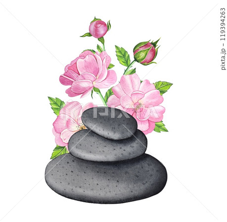 Balancing gray stones with pink roses. Hand drawn watercolor illustration Balancing gray stones with pink roses. Hand drawn watercolor illustration 119394263
