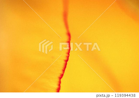 Abstract blurry background for covers and wallpapers Abstract blurry background for covers and wallpapers 119394438