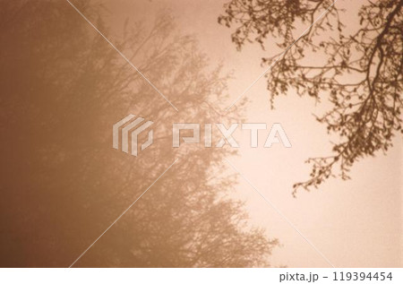 Abstract blurry background for covers and wallpapers 119394454