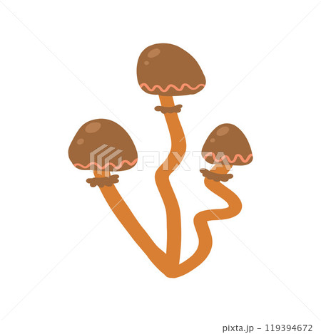 Brown wild mushrooms in a nature-inspired illustration. Perfect for autumnal designs, foraging guides, organic food themes, and forest-related projects Brown wild mushrooms in a nature-inspired illustration. Perfect for autumnal designs, foraging guides, organic food themes, and forest-related projects 119394672