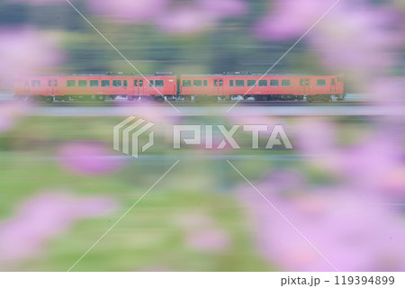 秋のたらこ 119394899